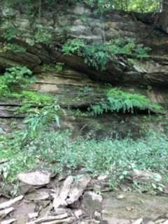 899 Messenger Rd Sparta, TN 38583