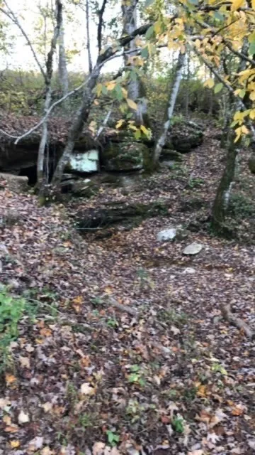 899 Messenger Rd Sparta, TN 38583