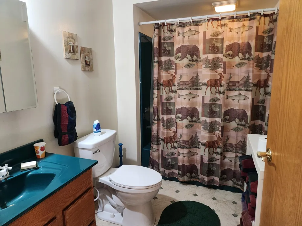 9223 S Trail Of The Lakes Lake Township, MI 49304