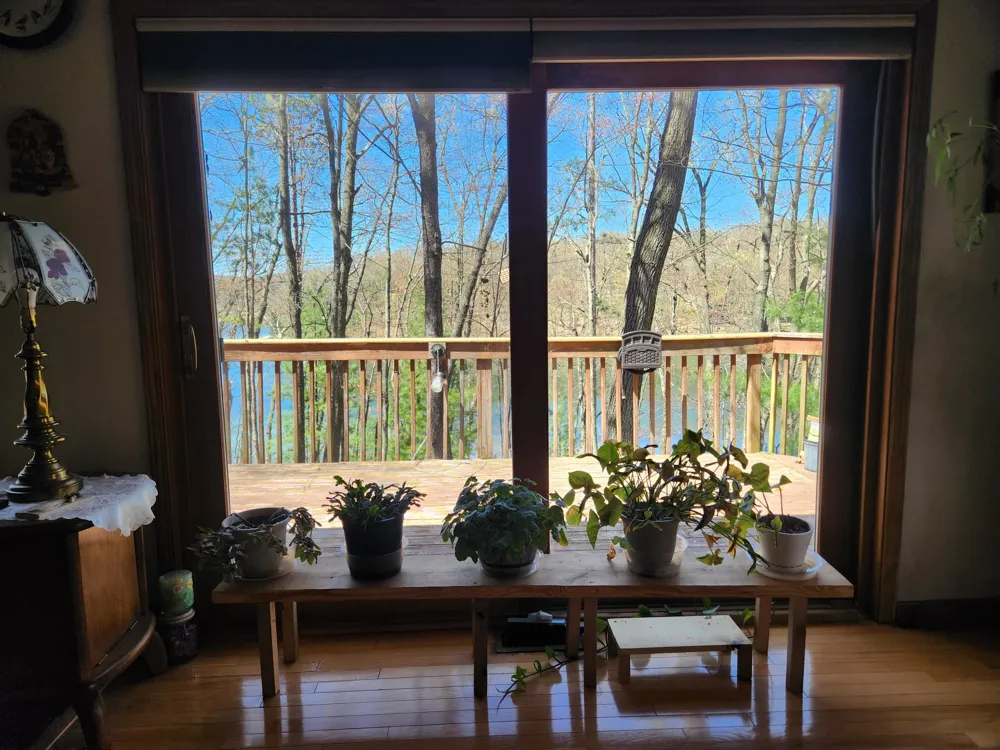9223 S Trail Of The Lakes Lake Township, MI 49304