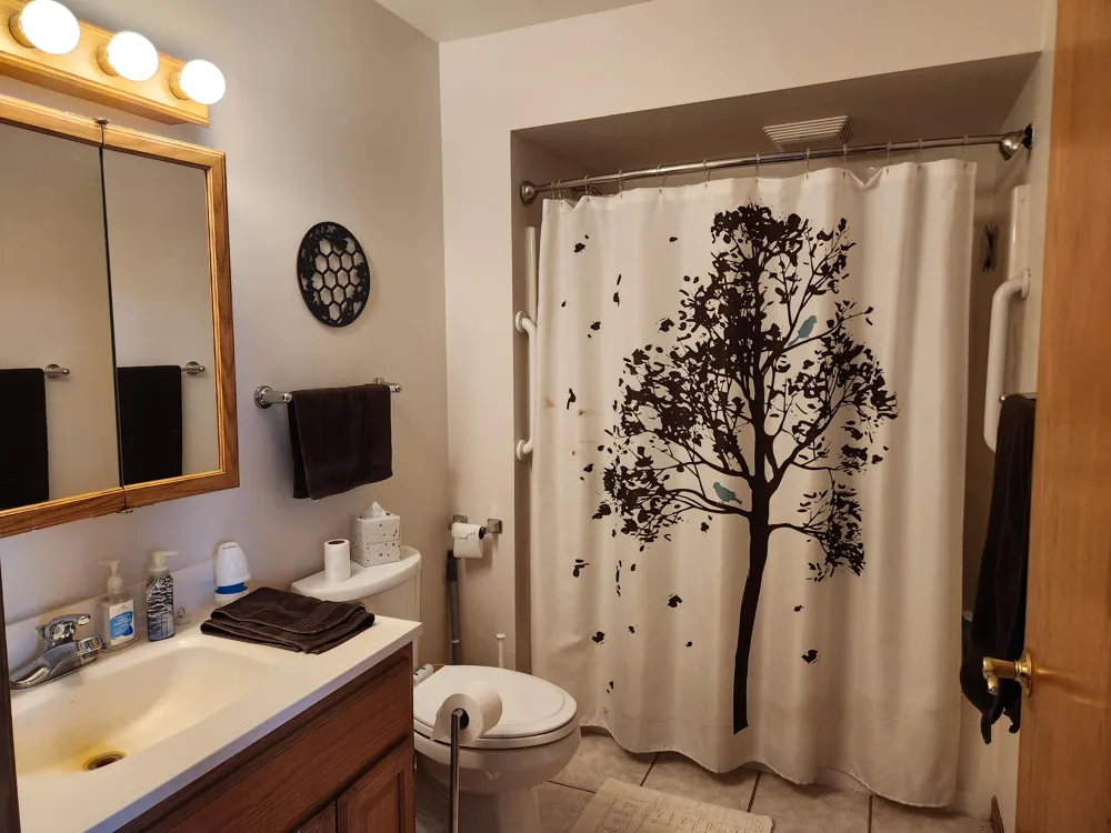 9223 S Trail Of The Lakes Lake Township, MI 49304
