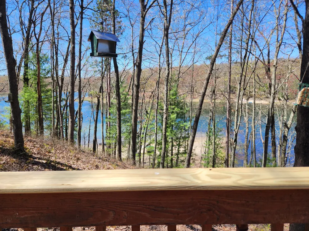 9223 S Trail Of The Lakes Lake Township, MI 49304