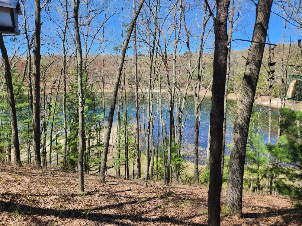 9223 S Trail Of The Lakes Lake Township, MI 49304