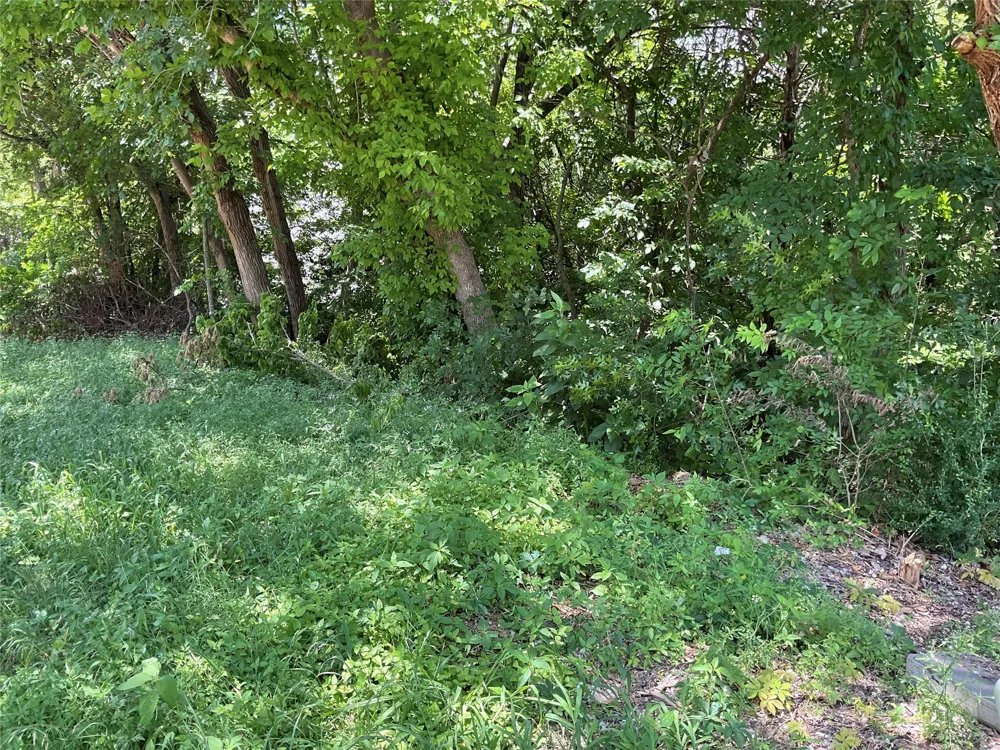 41 Wyndmere Drive DeSoto, TX 75115