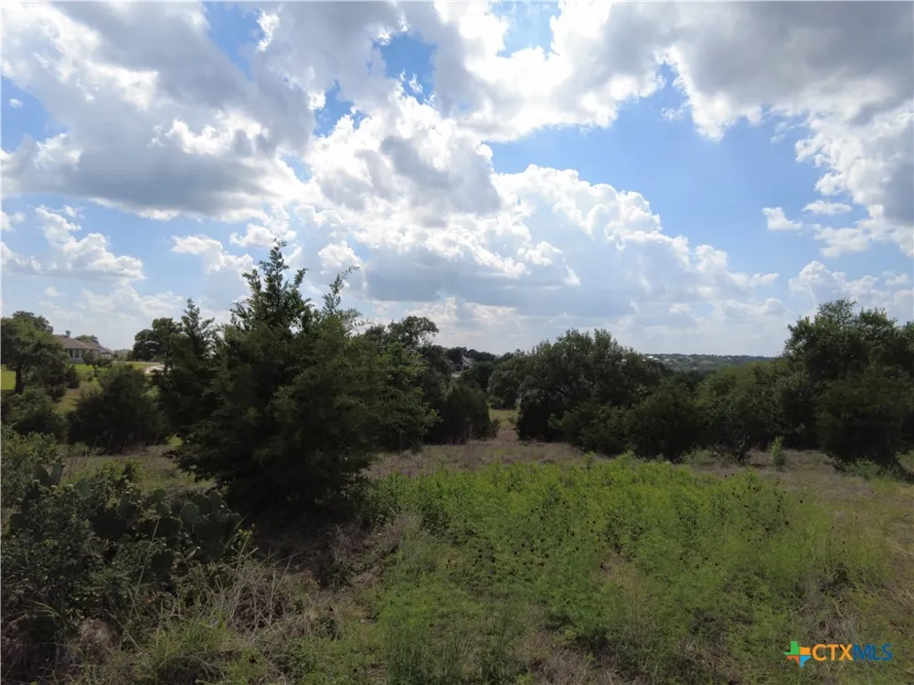 1221 Brushy Cove New Braunfels, TX 78132