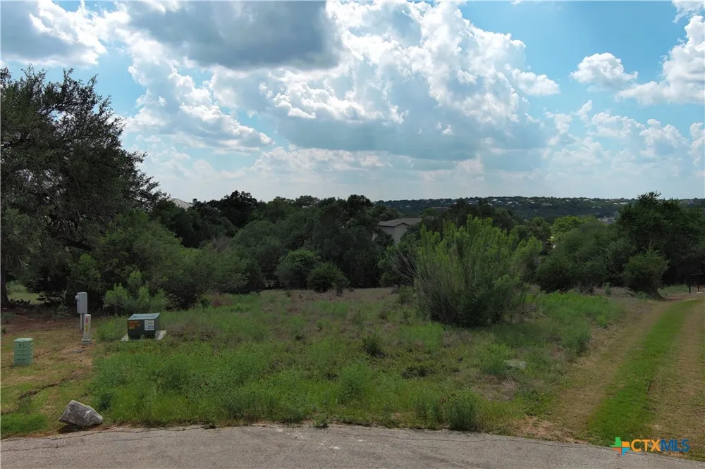 1221 Brushy Cove New Braunfels, TX 78132