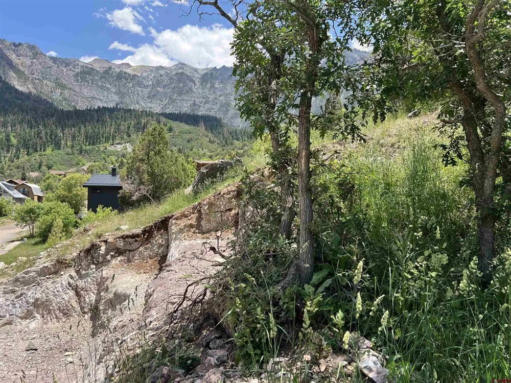 325 2nd Avenue Ouray, CO 81427