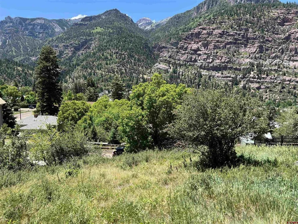 325 2nd Avenue Ouray, CO 81427