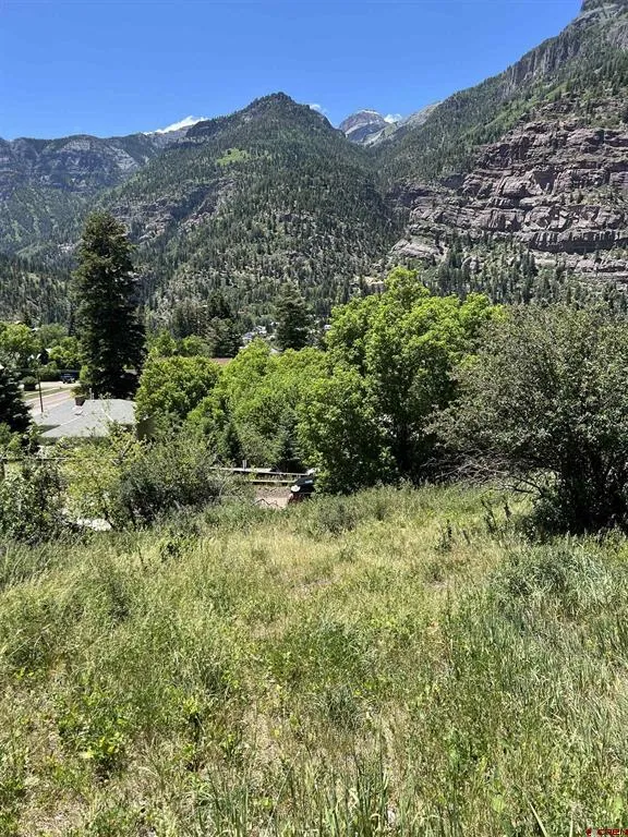 325 2nd Avenue Ouray, CO 81427