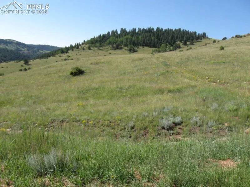 Lot 9-10 Shideler Avenue Cripple Creek, CO 80813