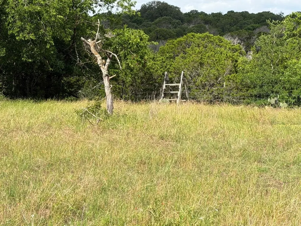 387 W CR 1627 AVENUE Meridian, TX 76634