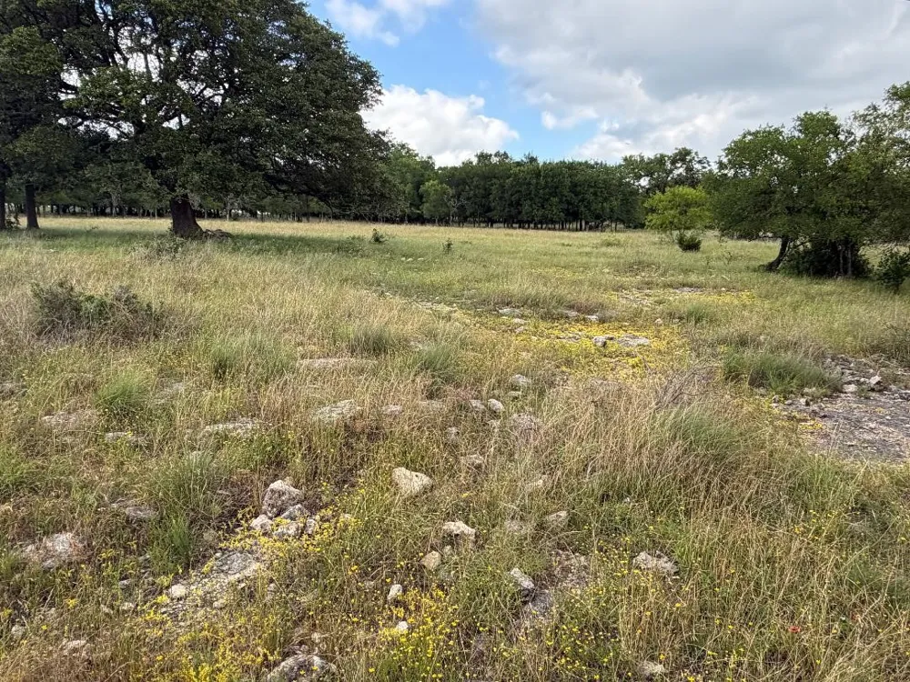 387 W CR 1627 AVENUE Meridian, TX 76634