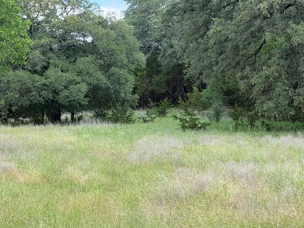 387 W CR 1627 AVENUE Meridian, TX 76634