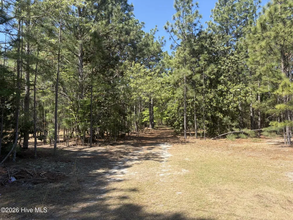 5324 Us 1 Highway Vass, NC 28394
