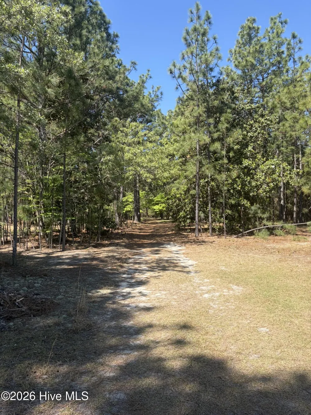 5324 Us 1 Highway Vass, NC 28394