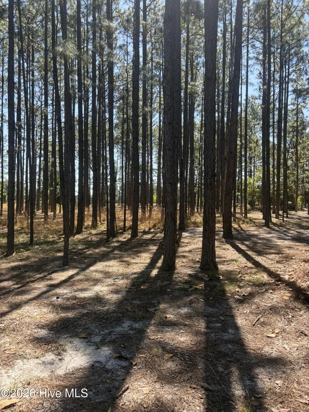 5324 Us 1 Highway Vass, NC 28394