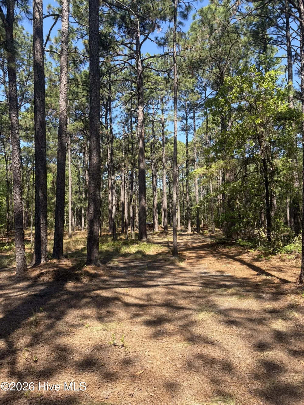 5324 Us 1 Highway Vass, NC 28394