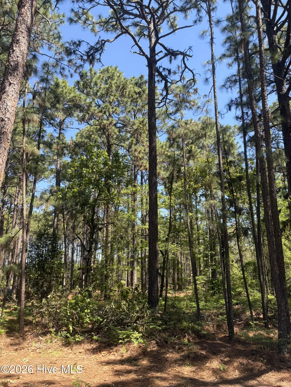 5324 Us 1 Highway Vass, NC 28394