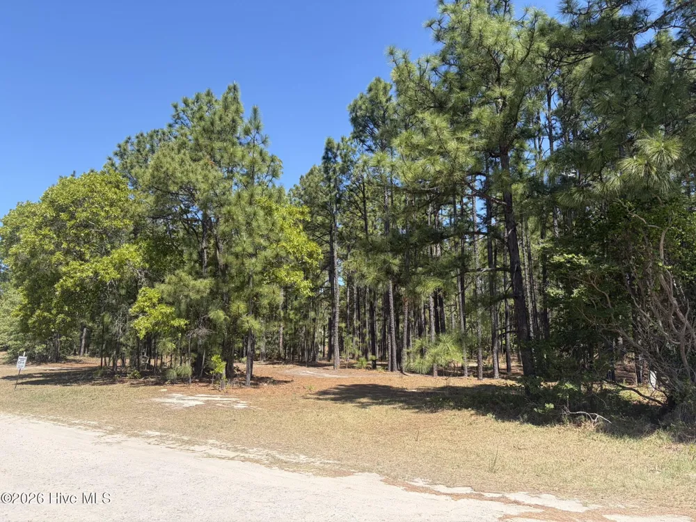 5324 Us 1 Highway Vass, NC 28394