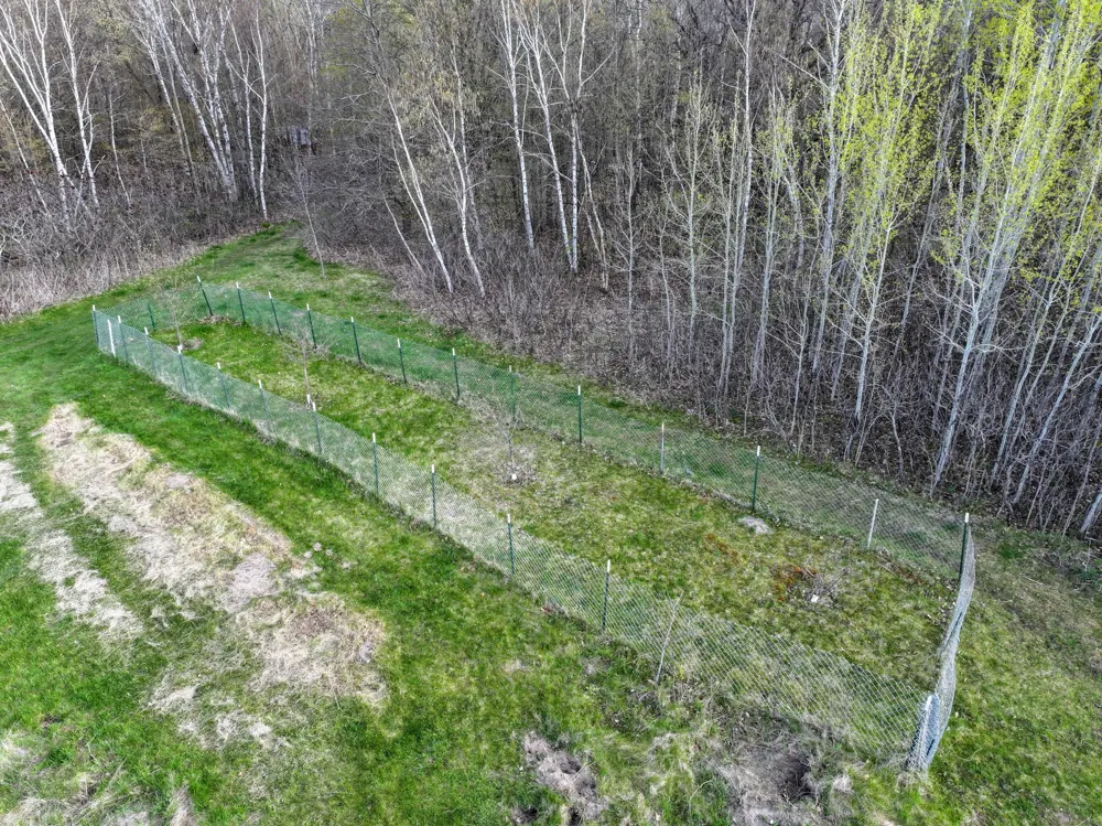 21945 County 38 Long Prairie, MN 56347
