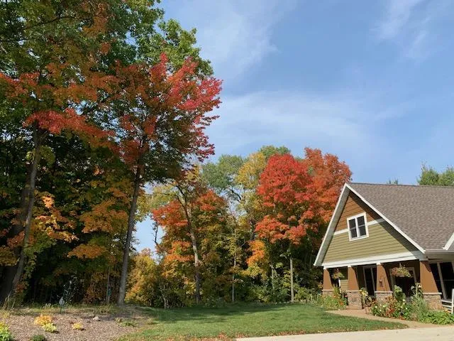 21945 County 38 Long Prairie, MN 56347