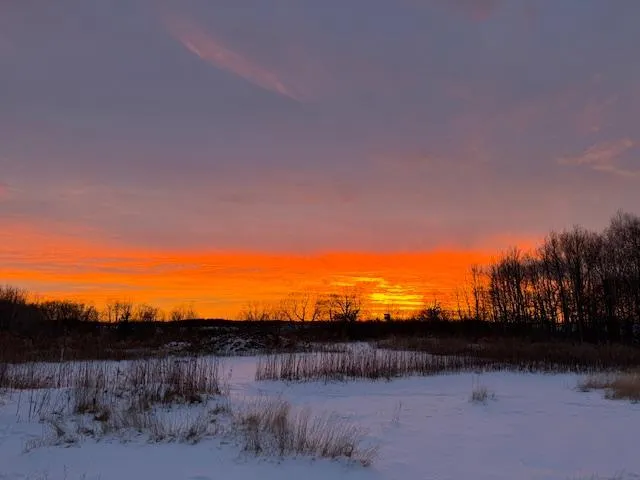 21945 County 38 Long Prairie, MN 56347