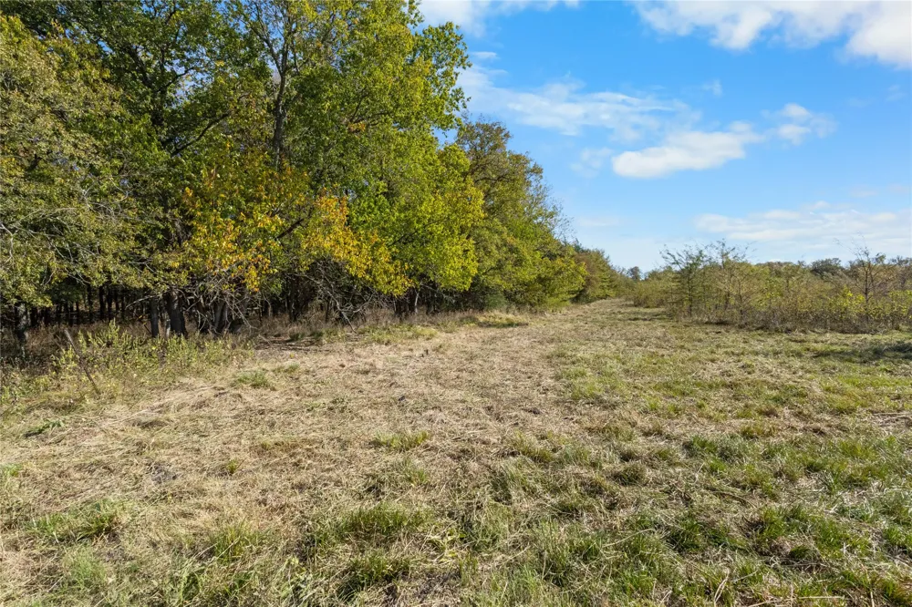 Fm 1528 Cooper, TX 75432