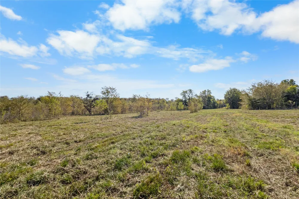 Fm 1528 Cooper, TX 75432