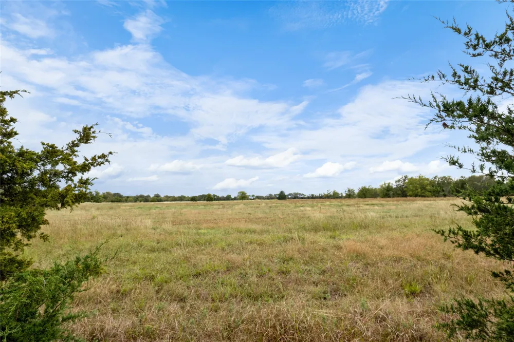Fm 1528 Cooper, TX 75432