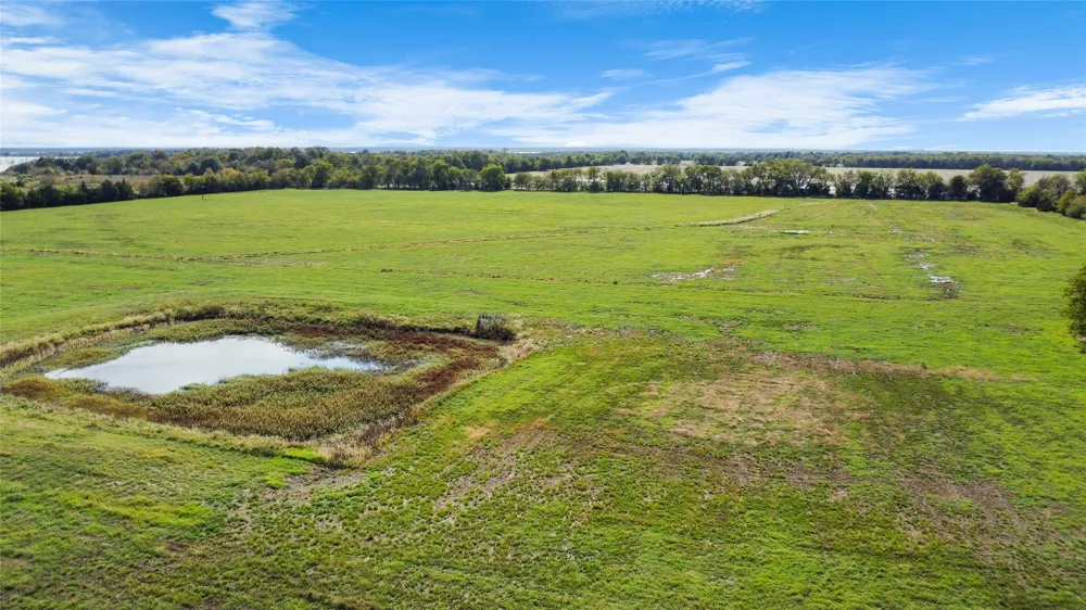 Fm 1528 Cooper, TX 75432