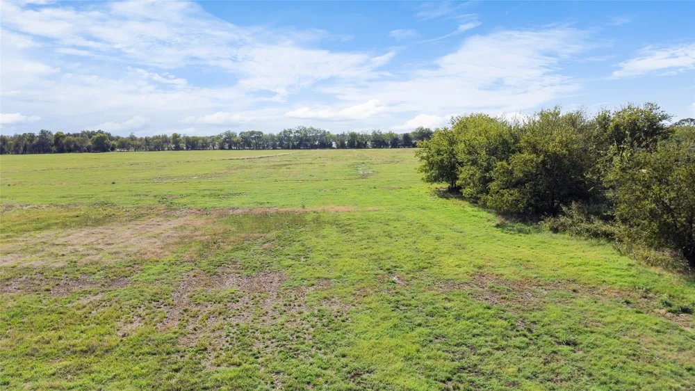 Fm 1528 Cooper, TX 75432