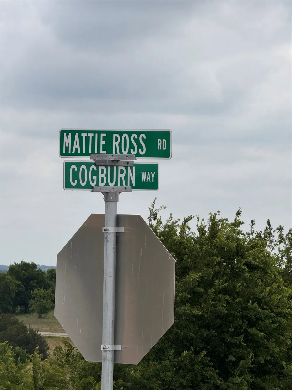 2908 Mattie Ross Road Cresson, TX 76035