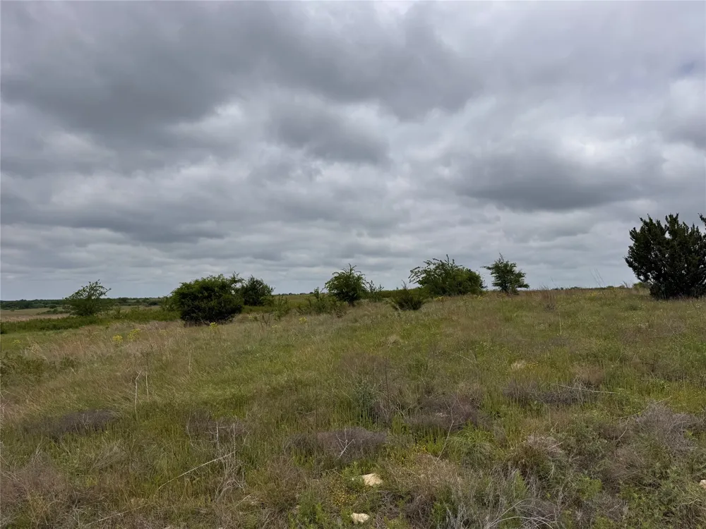 2908 Mattie Ross Road Cresson, TX 76035