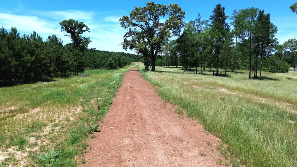 Cr 2125 Crockett, TX 75835