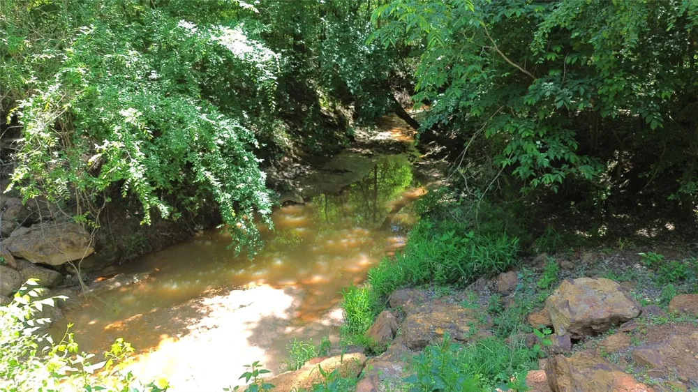 Cr 2125 Crockett, TX 75835