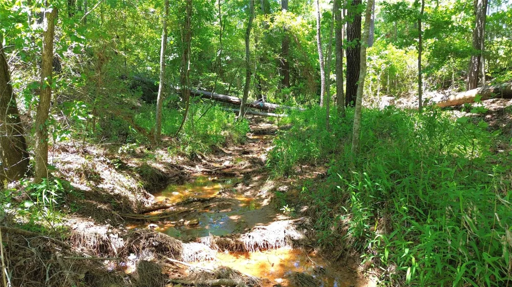Cr 2125 Crockett, TX 75835