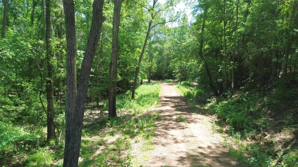 Cr 2125 Crockett, TX 75835