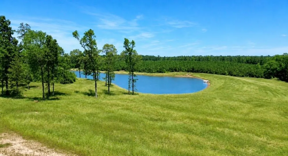 Cr 2125 Crockett, TX 75835
