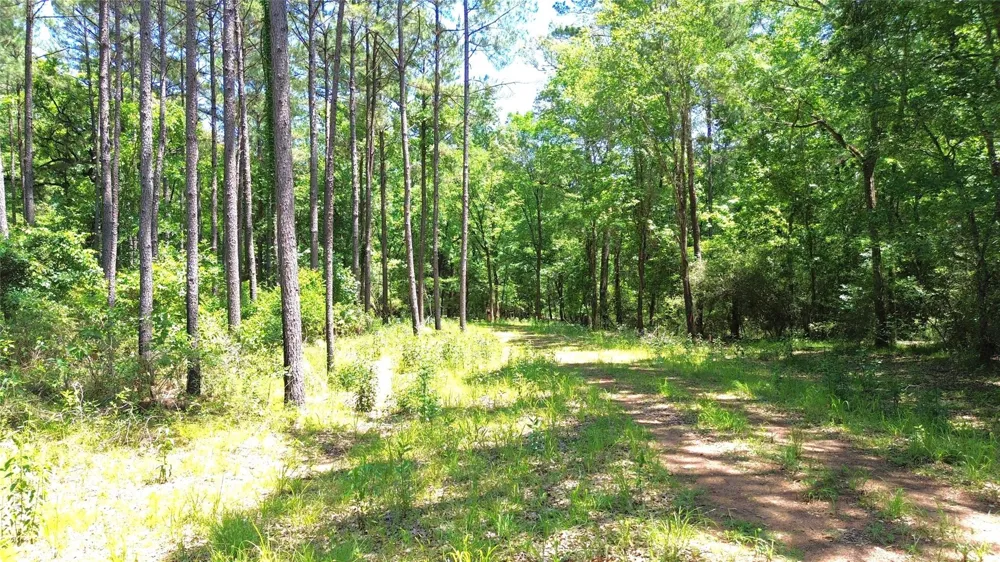 Cr 2125 Crockett, TX 75835