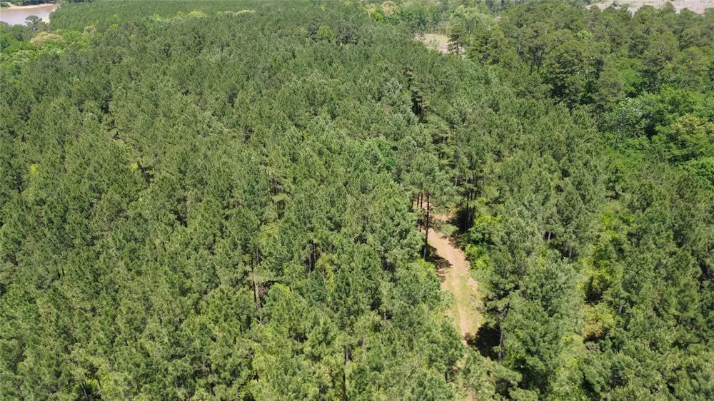 Cr 2125 Crockett, TX 75835