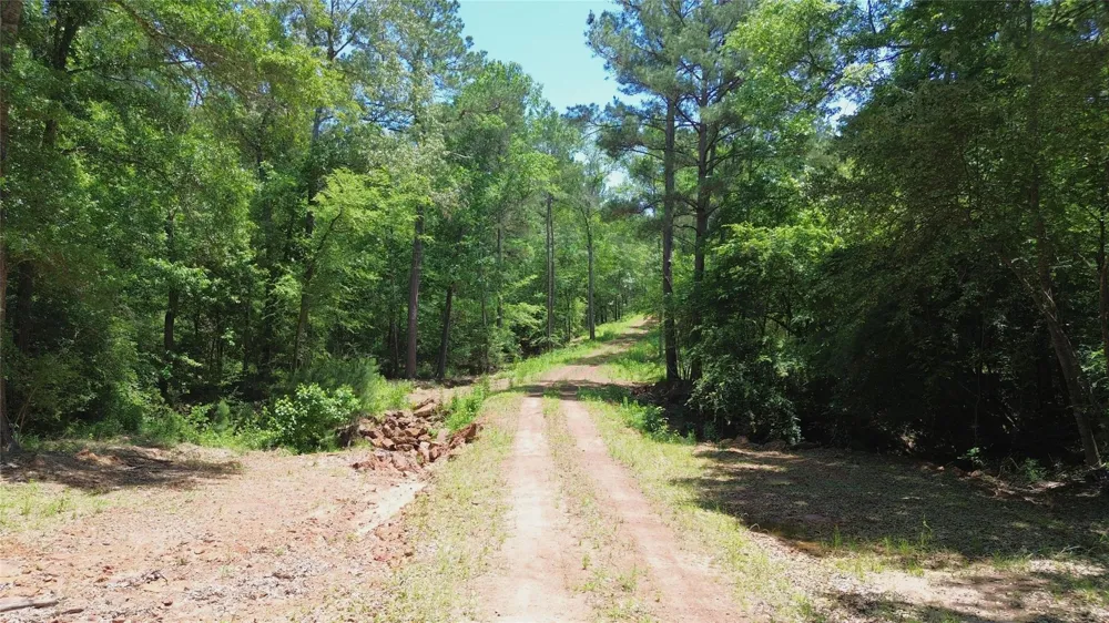 Cr 2125 Crockett, TX 75835