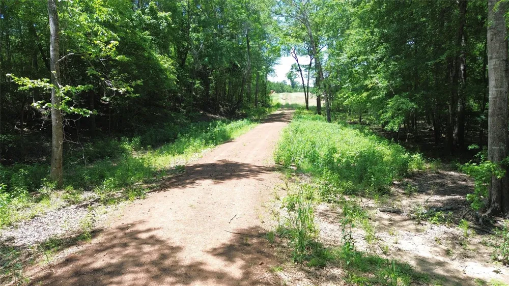 Cr 2125 Crockett, TX 75835
