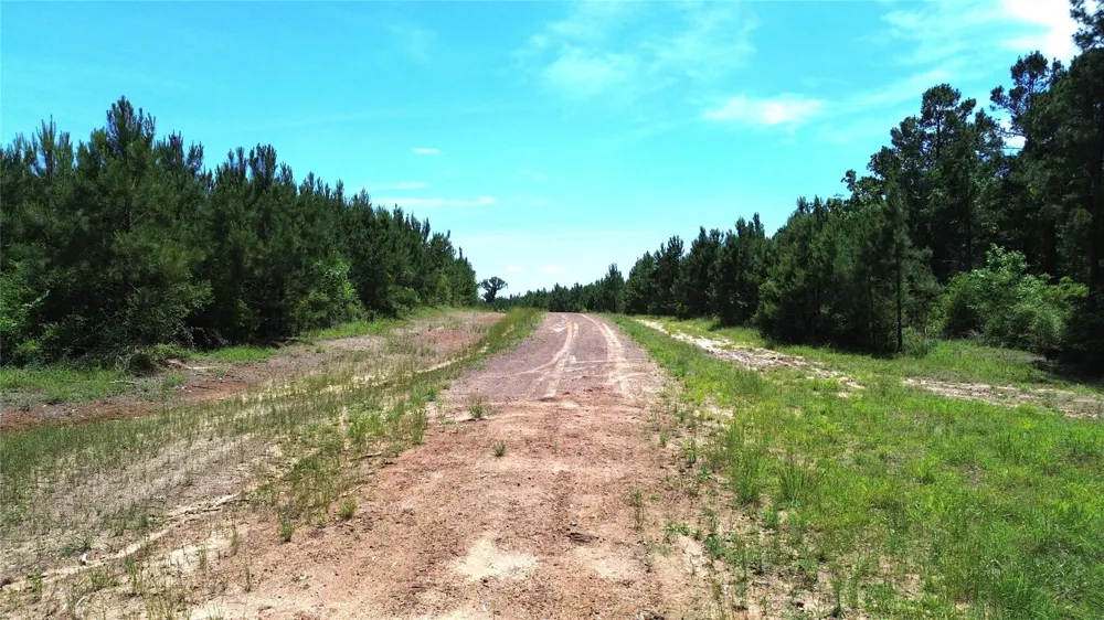 Cr 2125 Crockett, TX 75835