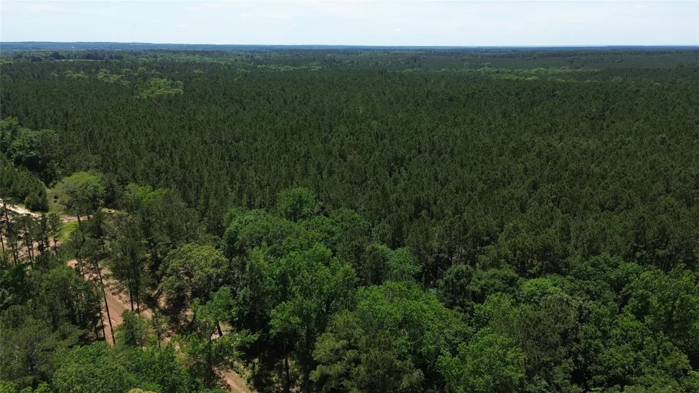 Cr 2125 Crockett, TX 75835