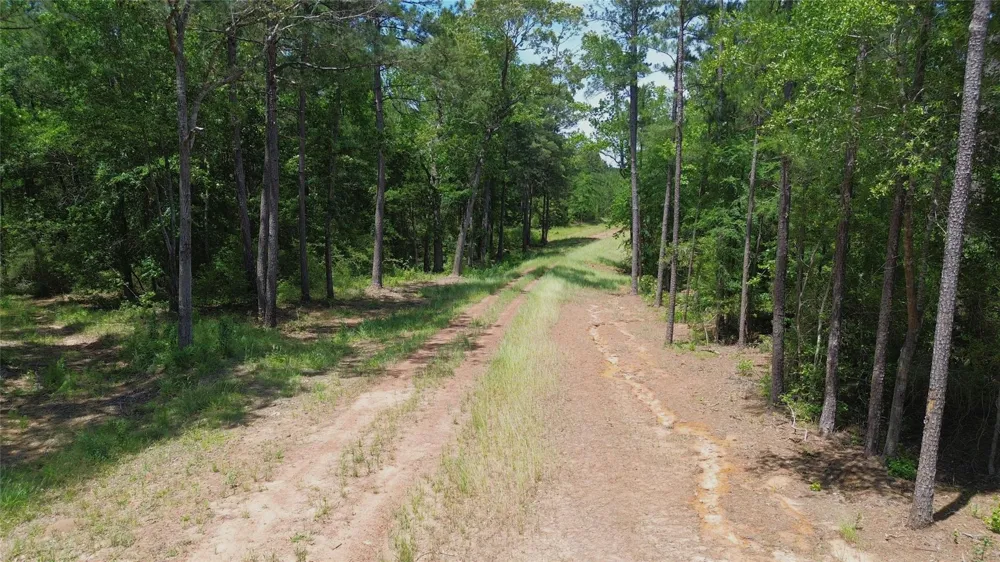 Cr 2125 Crockett, TX 75835
