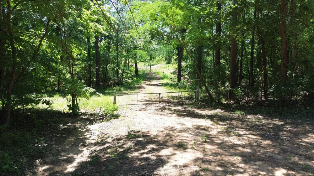 Cr 2125 Crockett, TX 75835