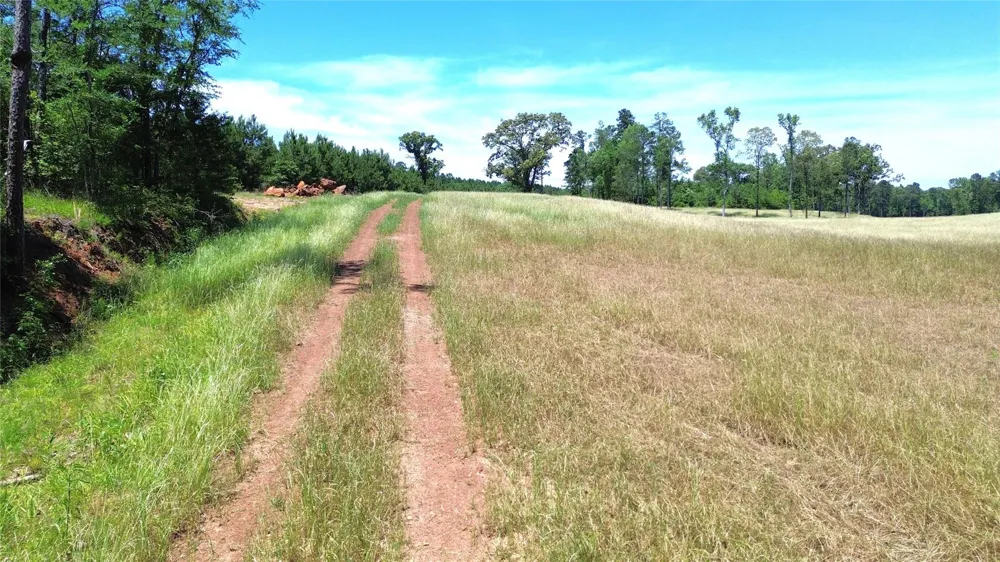 Cr 2125 Crockett, TX 75835
