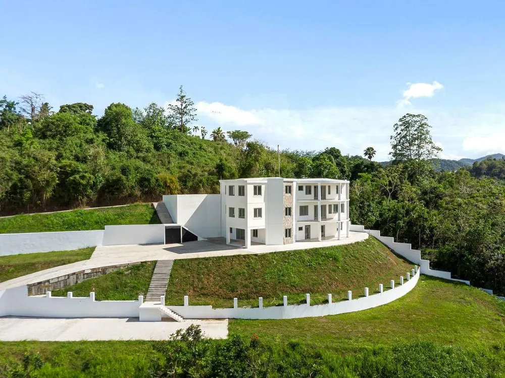 CARR 171 MOGOTE Cayey, PR 00736