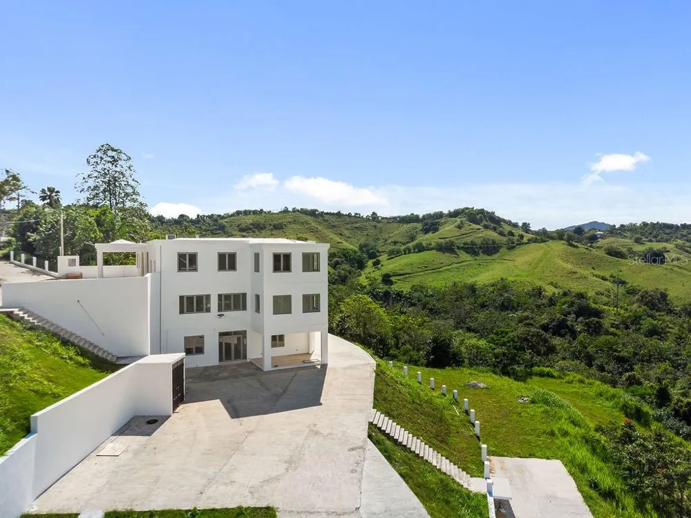CARR 171 MOGOTE Cayey, PR 00736
