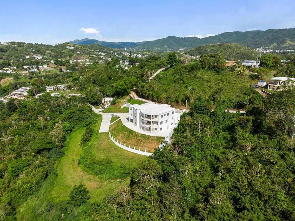 CARR 171 MOGOTE Cayey, PR 00736